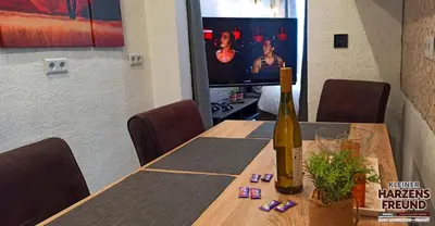 TV/Unterhaltungsangebot in der Unterkunft Arode Kleiner Harzensfreund
