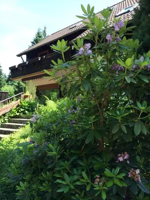 Ein Garten an der Unterkunft Ferienwohnung Momo . Villa Strawalde . Altenau/Oberharz