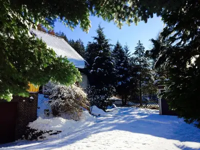 Ferienwohnung Momo . Villa Strawalde . Altenau/Oberharz im Winter
