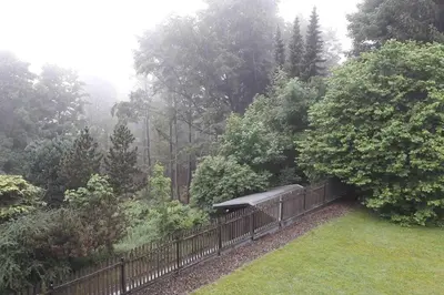 Ein Garten an der Unterkunft Ferienwohnung Traumhaft