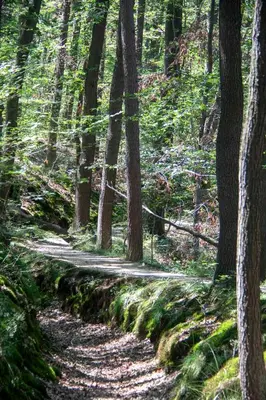Naturlandschaft in der Nähe der Ferienwohnung