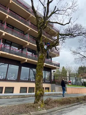 Gäste, die in der Unterkunft Ferienwohnung Franzi übernachten