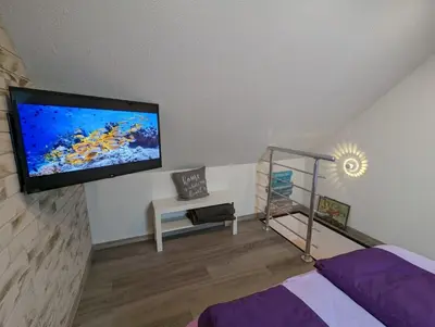 TV/Unterhaltungsangebot in der Unterkunft Ferienhaus kleine Remise