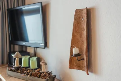 TV/Unterhaltungsangebot in der Unterkunft Hans im Harz