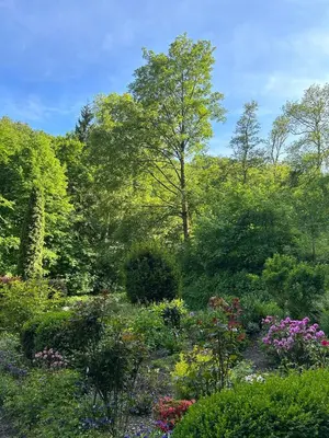 Ein Garten an der Unterkunft Wald-Idyll: Urlaub im Grünen