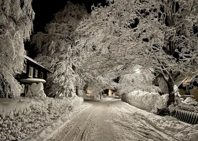 Schönes Leben im Winter