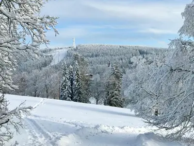 Schönes Leben im Winter