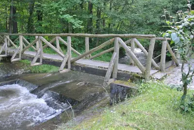 Naturlandschaft in der Nähe der Ferienwohnung