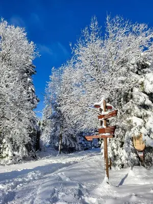 Ferienwohnung Natur Suite Hahnenklee - Harz, Balkon & Parkplatz im Winter