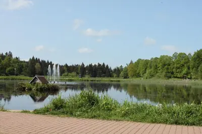 Naturlandschaft in der Nähe der Ferienwohnung