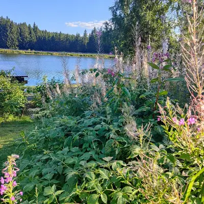 Naturlandschaft in der Nähe der Ferienwohnung