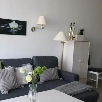 Ferienwohnung Natur Suite Hahnenklee - Harz