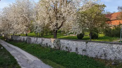 Ein Garten an der Unterkunft Ferienhaus am Schloßpark