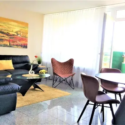 Ferienwohnung PanoramicHarz App459