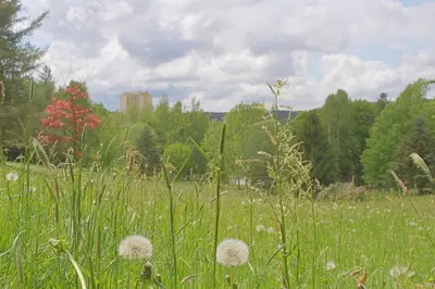 Naturlandschaft in der Nähe der Ferienwohnung