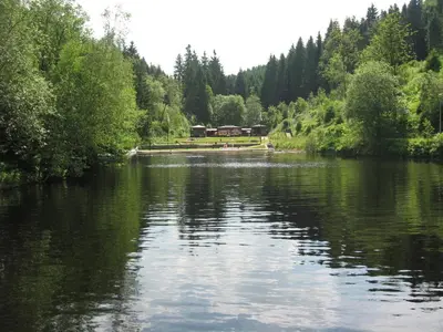 Naturlandschaft in der Nähe des Ferienhauses