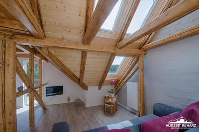 TV/Unterhaltungsangebot in der Unterkunft Auszeit im Harz - Haus 2 Wohnung 5