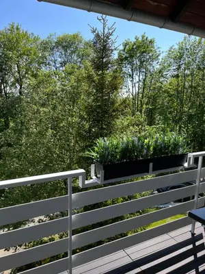 Ein Garten an der Unterkunft Bergliebe Sankt Andreasberg