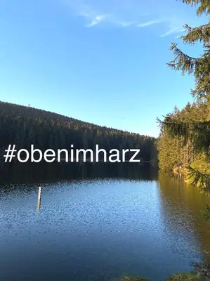 Naturlandschaft in der Nähe der Ferienwohnung