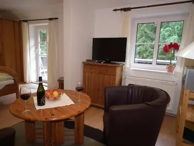 TV/Unterhaltungsangebot in der Unterkunft Ferienwohnung Nexö 25 qm, 1 Wohn-Schlafzimmer N7