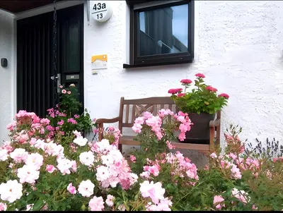 Ein Garten an der Unterkunft Lodge 2 Bad Harzburg
