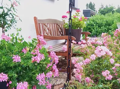 Ein Garten an der Unterkunft Lodge 2 Bad Harzburg