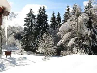 Bio-Hotel Zum Forsthaus im Winter