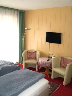 TV/Unterhaltungsangebot in der Unterkunft Bio-Hotel Zum Forsthaus