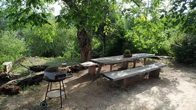 Ein Garten an der Unterkunft Ferienhaus am Bückeberg