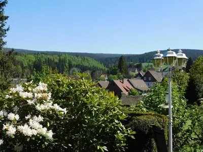 Naturlandschaft in der Nähe des Bed & Breakfasts