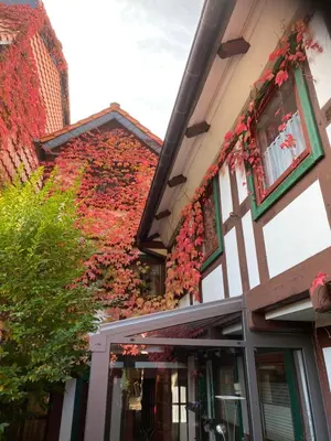 Das Gebäude in dem sich die Ferienwohnung befindet