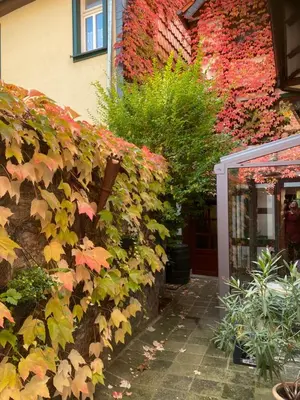 Ein Garten an der Unterkunft Ferienwohnung „Familie Mehle“