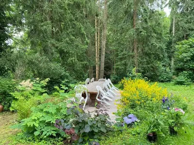 Ein Garten an der Unterkunft Haus Susemihl