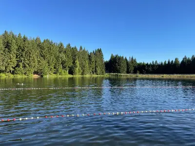 Naturlandschaft in der Nähe der Ferienwohnung