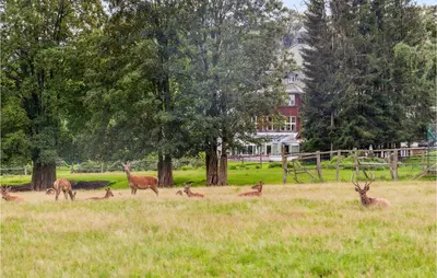Tiere im Ferienhaus oder in der Nähe