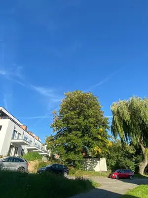 Grundriss der Unterkunft Harzperle 1 II zentrales 3 Zi Apartment II Familien