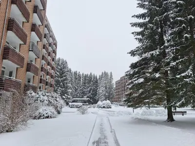 Luxus-Wohnung am Nationalpark Harz für Aktivurlaub im Winter
