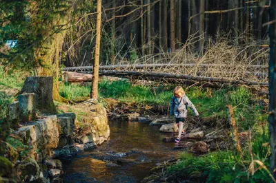 Naturlandschaft in der Nähe des Campingplatzes