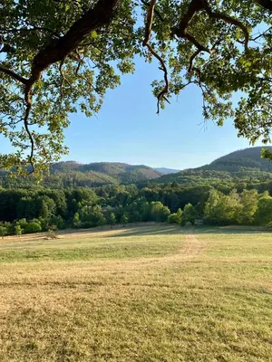 Naturlandschaft in der Nähe der Ferienwohnung