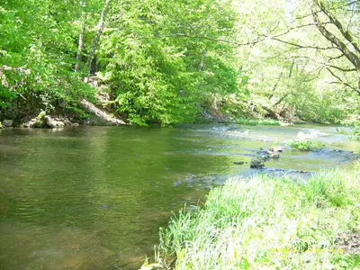 Naturlandschaft in der Nähe der Ferienwohnung