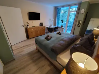 TV/Unterhaltungsangebot in der Unterkunft Apartment Harzgeflüster