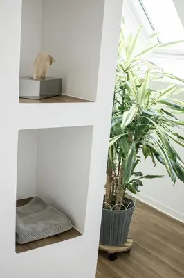 Grundriss der Unterkunft Ferienwohnung am Bollrich