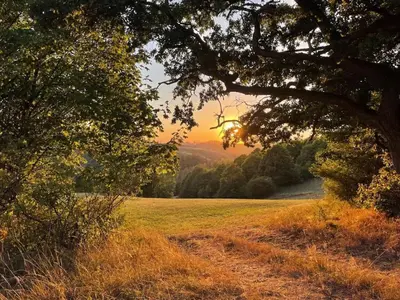 Naturlandschaft in der Nähe der Ferienwohnung