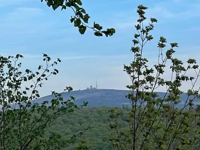 Naturlandschaft in der Nähe der Ferienwohnung