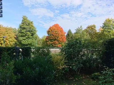 Ein Garten an der Unterkunft Gemütliche Ferienwohnung am Nationalpark Harz mit Parkplatz am Haus