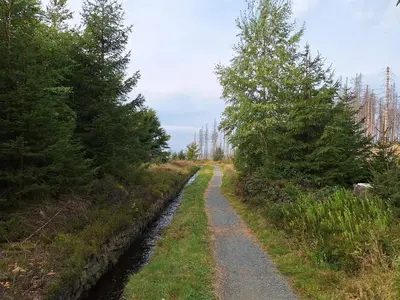 Naturlandschaft in der Nähe der Ferienwohnung