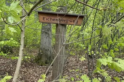 Naturlandschaft in der Nähe der Ferienwohnung