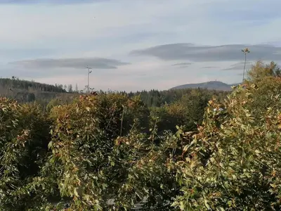 Grundriss der Unterkunft Ferienwohnung im Oberharz
