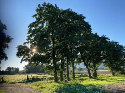 Naturlandschaft in der Nähe der Ferienwohnung