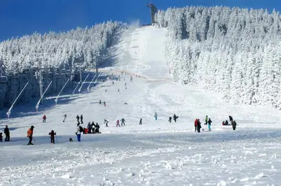 Harzkind im Winter
